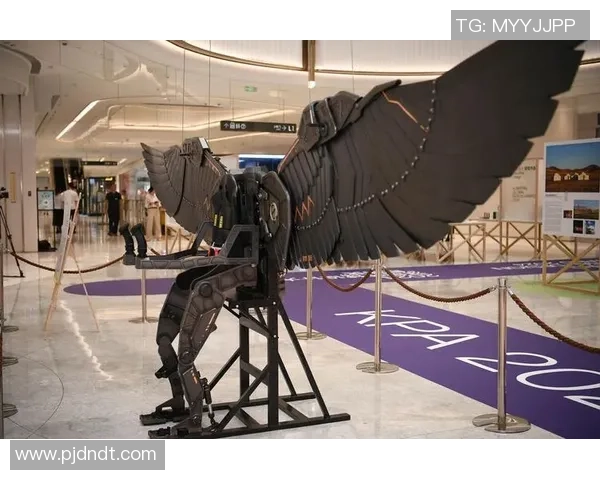 未来之星 足球新生代崛起 揭秘年轻球员的无限潜力与梦想